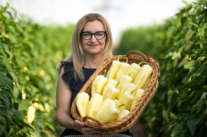 Dr.AntalAnikó. fehér paprika
